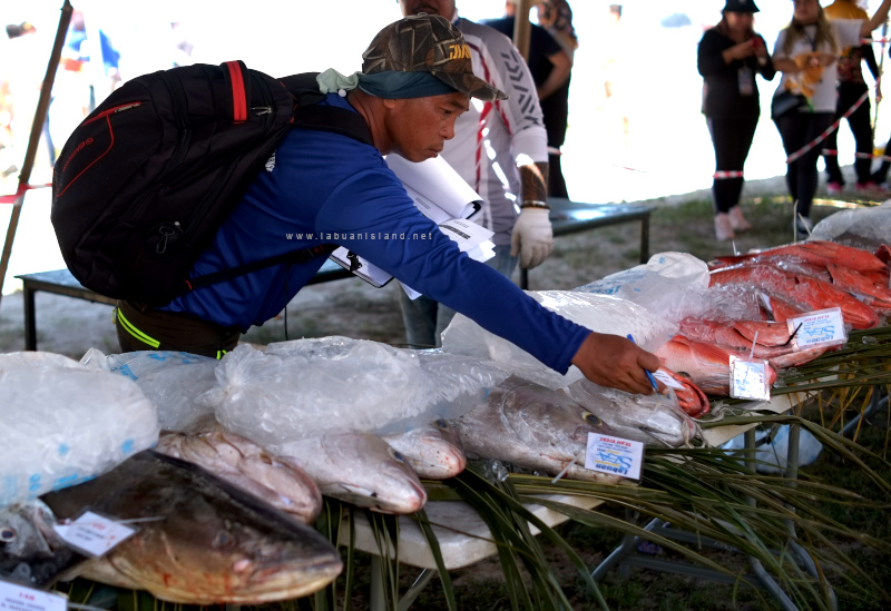 Fishing sport in Labuan
